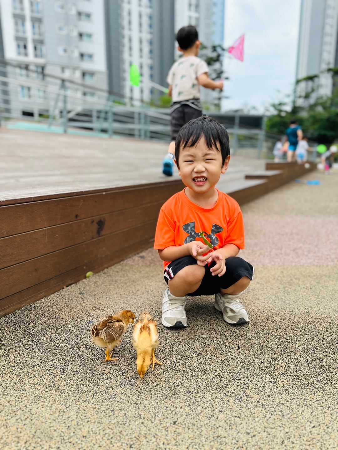 삐약이와 한 달 살이 관련 이미지