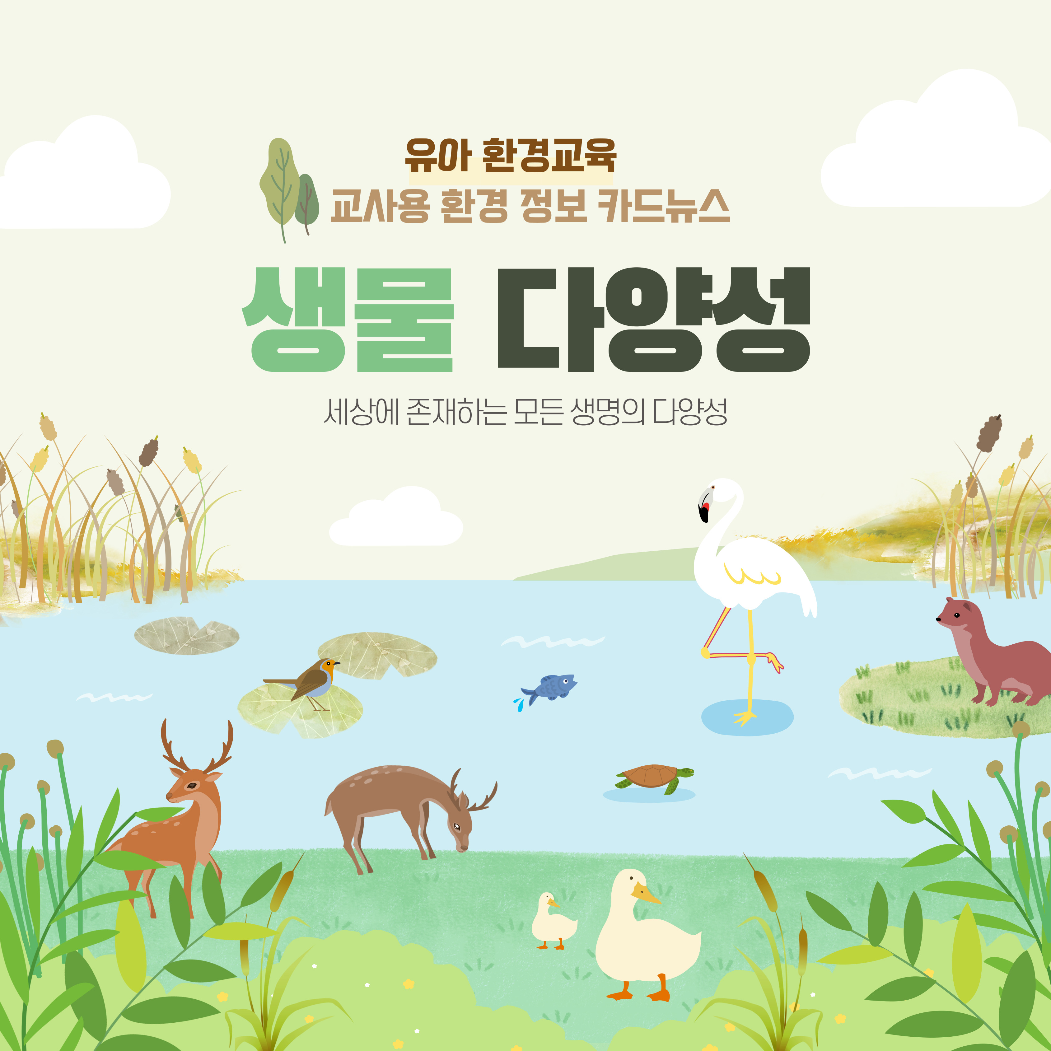 [환경교육-자연환경] 생물다양성 관련 이미지 (불러오지 못할 경우 기본 이미지가 표시됩니다.)